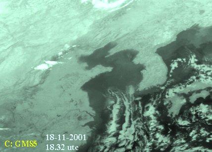 Leonids 2001 weather by satellite